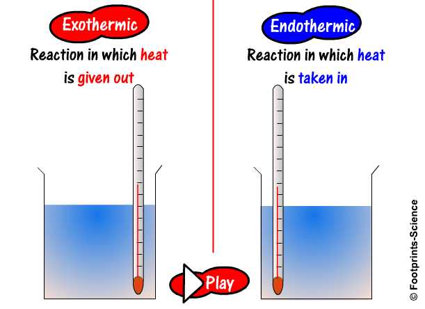 exothermic-and-endothermic-worksheet